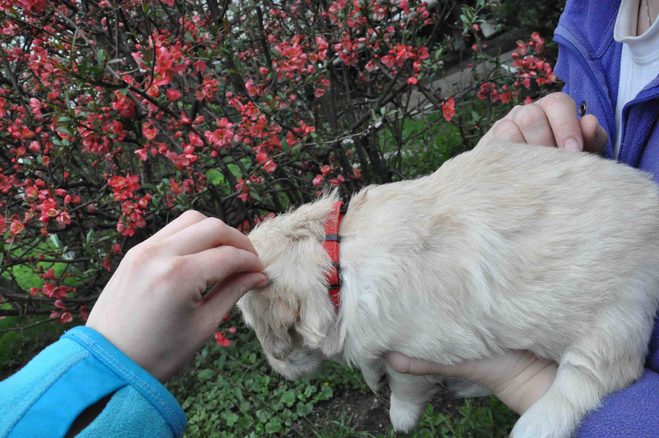20160417portDSC_1577