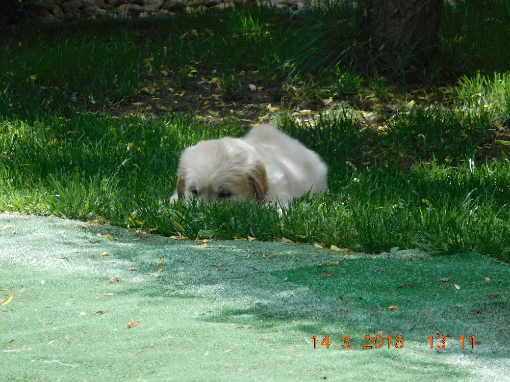 DSCN0385