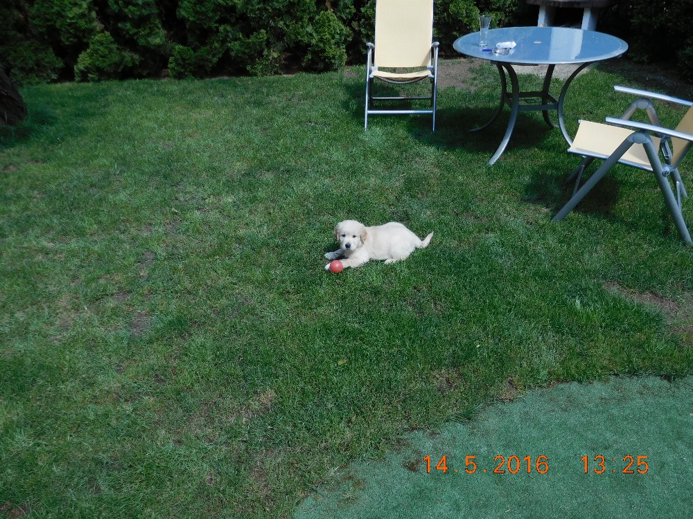 DSCN0390