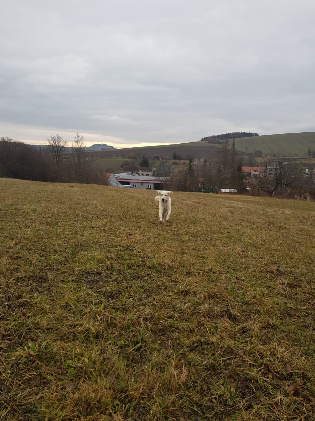 IMG-20210130-WA0008