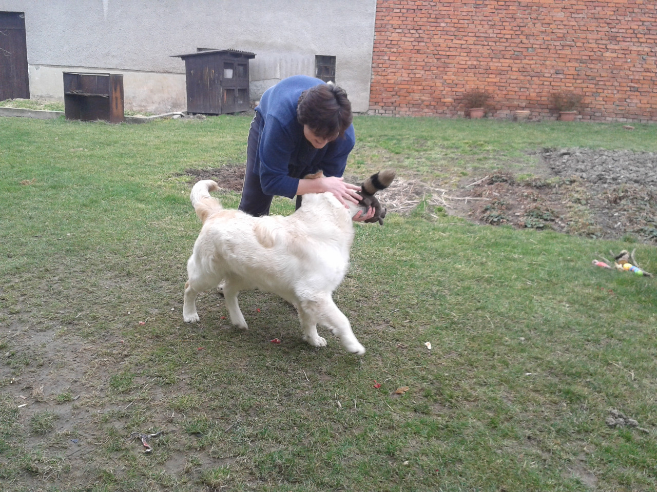 Cesar057