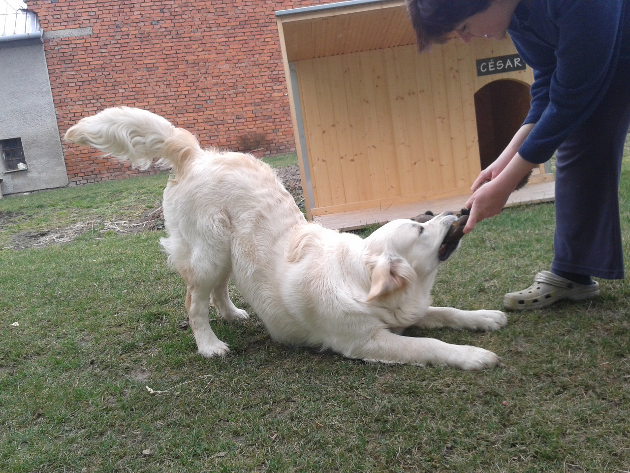 Cesar071
